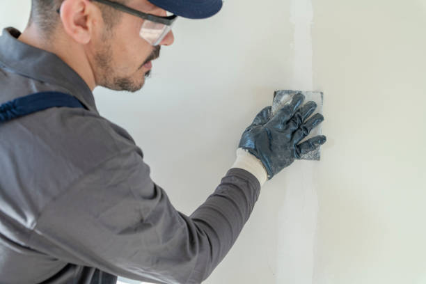 Best Mold Damage Restoration  in Captains Cove, VA